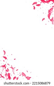 Fondo blanco del vector de vuelo floral rojo. Ilustración de Belleza Sakura. Bonito Marco De Verano De Peach. Cubierta De Flying De Cerezo Rosa.