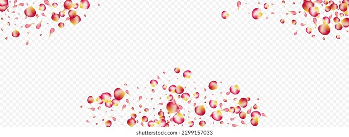 Red Floral Flying Vector Panoramic Transparent Background. Falling Peach Pattern. Beautiful Cherry Blur Cover. Pink Sakura Fly Poster.