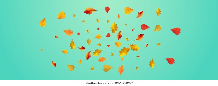 Red Floral Vector Blue Panoramic Background. Wallpaper Plant Frame. Yellow Beautiful Leaves Texture. Pattern Design.
