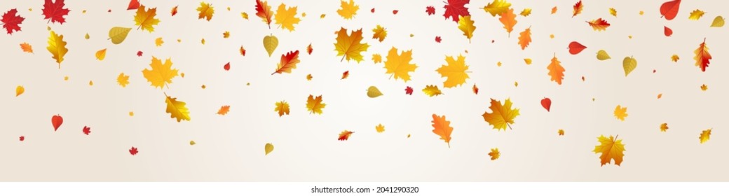 Red Floral Vector Grey Panoramic Background. Tree Leaves Template. Ocher Bright Foliage Card. Nature Illustration.