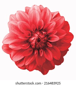 Red flower