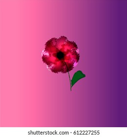 Red flower
