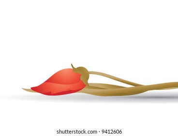 Red flower