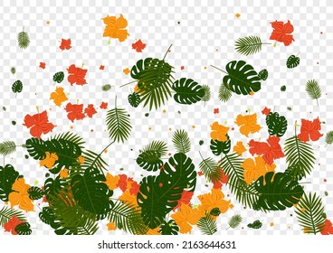 Red Flower Background Transparent Vector. Monstera Aloha Frame. Yellow Palm. Realistic Backdrop. Light Green Beauty Card.