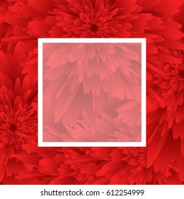 red Flower background, white frame. vector illustration. template for greeting card to 8 march, wedding invitation, holiday background, discount banner