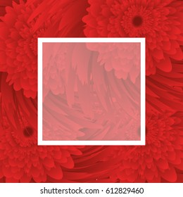 red Flower background, white frame. vector illustration. template for greeting card to 8 march, wedding invitation, holiday background, discount banner