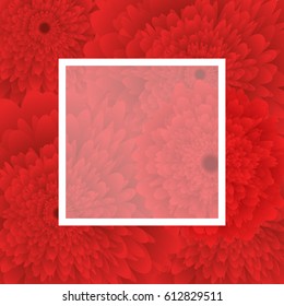 red Flower background, white frame. vector illustration. template for greeting card to 8 march, wedding invitation, holiday background, discount banner