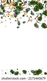Red Flower Background White Vector. Leaf Surf Design. Light Green Flora. Color Texture. Yellow Beauty Illustration.