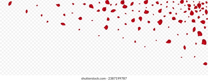 Red Flower Beauty Vector Panoramic Transparent Background. Japanese Sakura Cover. Delicate Rose Fly Poster. Pink Cherry Summer Texture.