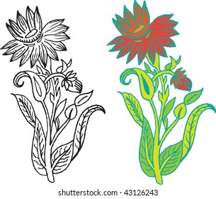 red flower and black flower