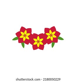 Red flower blooming in spring and summer on white background. (seasonal, park, garden, plant, floral, blooming in spring, summer, outdoors)