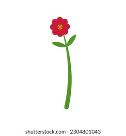 Red flower blooming in spring and summer on white background. (seasonal, park, garden, plant, floral, blooming in spring, summer, outdoors)