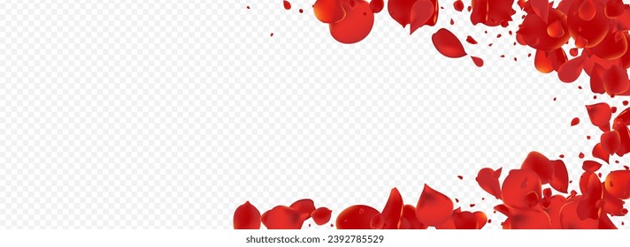 Red Flower Fall Vector Panoramic Transparent Background. Blur Lotus Template. Delicate Rose Spring Cover. Beautiful Peach Japanese Poster.