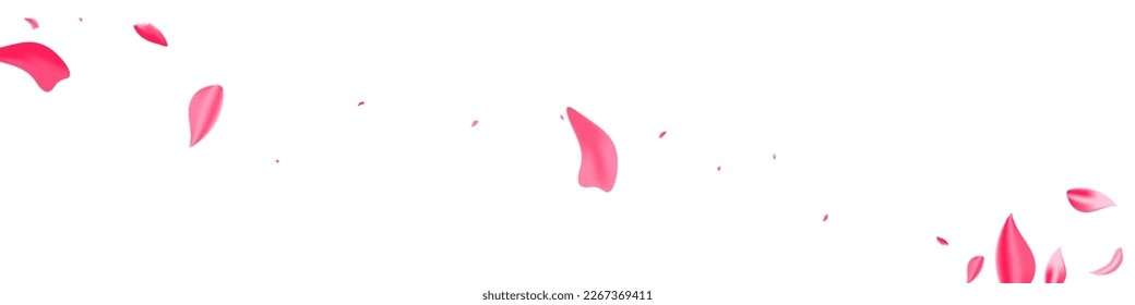 Red Flower Falling Vector White Panoramic Background. Japan Blossom Backdrop. Pink Rose Beauty Template. Delicate Cherry Tender Frame.