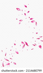 Red Flower Flying Vector Transparent Background. Japanese Floral Backdrop. Pink Petal Blur Design. Beautiful Peach Fly Wallpaper.