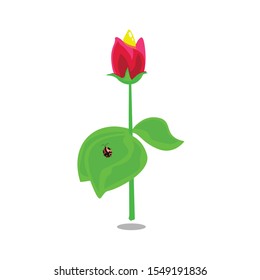 Red Flower, green Leaf, ladybug Vector 
