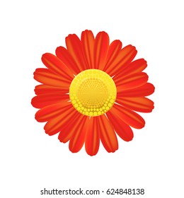 Red flower icon. Colorful solid illustration on a white background.