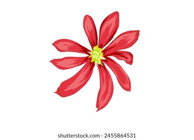 red flower isolated on white