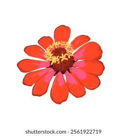 red flower isolated without background