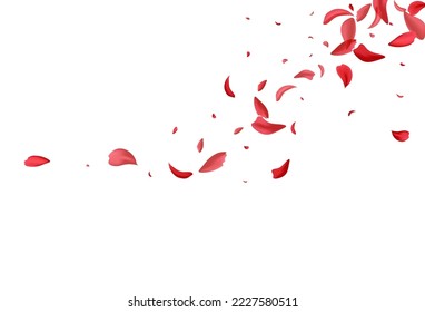 Rote Blume, japanischer, weißer Hintergrund. Fliege Sakura Muster. Schöne Kirsche Sommerhitzer Illustration. Delikate Rose Fall Textur.