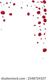 Red Flower Japanese Vector White Background. Beauty Petal Backdrop. Pink Floral Tender Illustration. Beautiful Rose Japan Pattern.