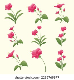 Flor roja con colección de hojas