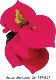 The red flower looks incredibly beautiful to everyone.