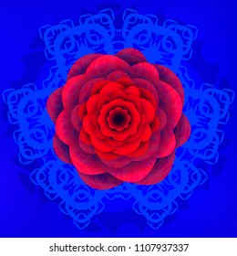 Red flower on blue background