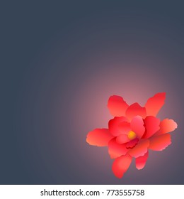Red flower on a dark background, postcard