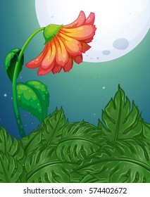 Red flower on full moon night illustration