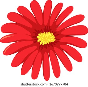 rote Blume auf weißem Hintergrund, Vektorgrafik