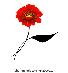 Red flower on a white background.
