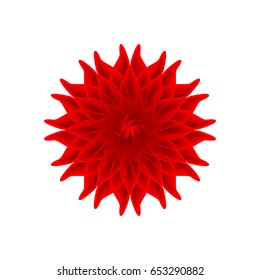 red flower on a white background