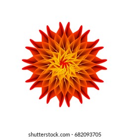 red flower on a white background