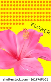 Red flower on yellow background
