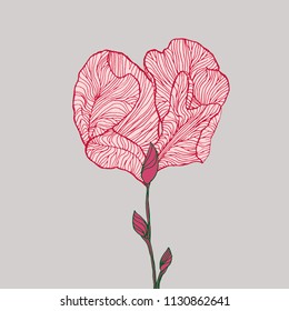 Red flower petals heart art. Vector illustration.