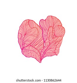 Red flower petals heart art. Vector illustration.