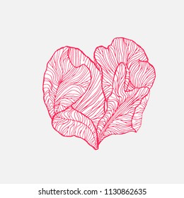 Red flower petals heart line-art. Vector illustration.