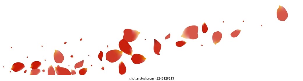 Red Flower Spring Vector White Panoramic Background. Tender Blossom Pattern. Beautiful Cherry Blur Illustration. Delicate Peach Flying Texture.