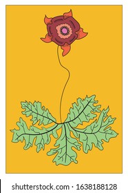 Red flower standing on thin plant with green leaves.