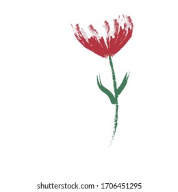 Red flower, tulip, peony on a white background. One terry flower. Vector illustration on a white background.