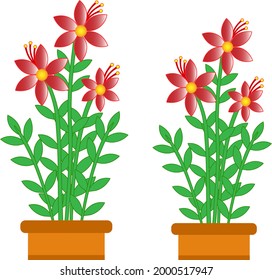 Red flower vase vector illustration