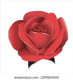Red flower vector illustration with white ackground
