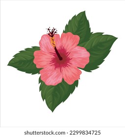 Red flower vector illustration with white background