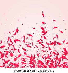 Red Flower Vector Pink Background. Tender Peach Design. Ruby Cherry Fly Illustration. Carmine Fall Petal Template.