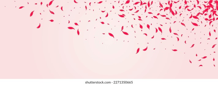 Red Flower Vector Pink Panoramic Background. Tender Sakura Cover. Scarlet Rose Fall Illustration. Carmine Japan Petal Backdrop.