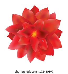 Flor Roja Con Caídas De Agua, Con Malla De Gradiente, Ilustración Vectorial