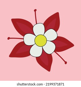 Red flower with white petal, pink background.