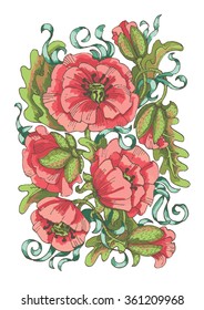 Red flowering poppies. Vector illustration