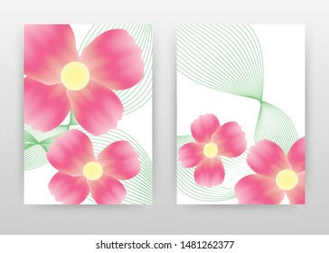 4 petal flower stock vectors images vector art shutterstock 4 petal flower template